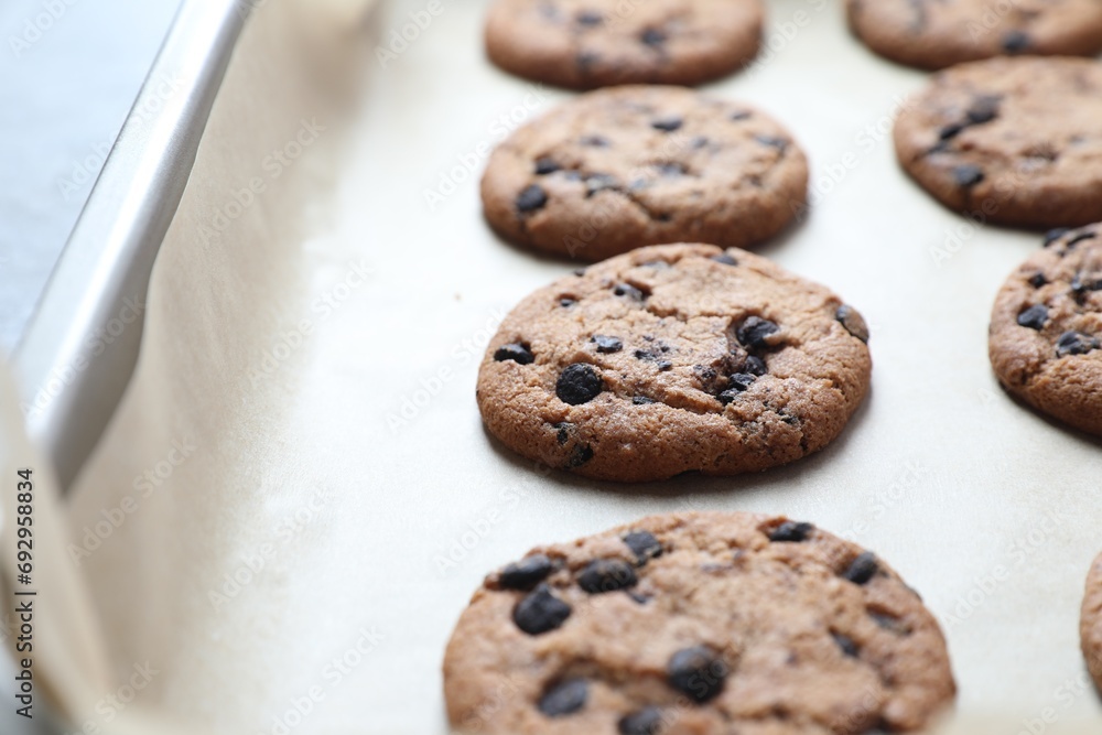 Chocolate chip cookies on parchment paper, closeup