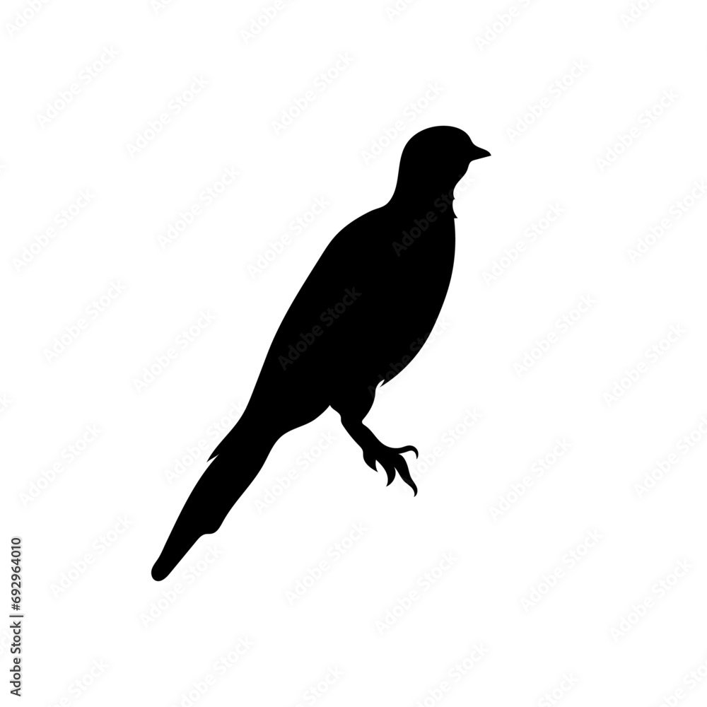 Obraz premium Bird silhouette stock vector illustration