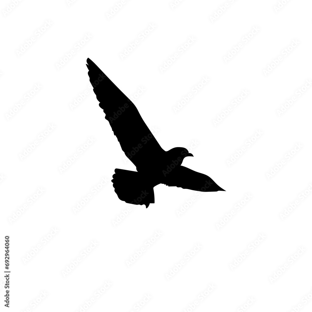 Bird silhouette stock vector illustration Bird silhouette stock vector illustration