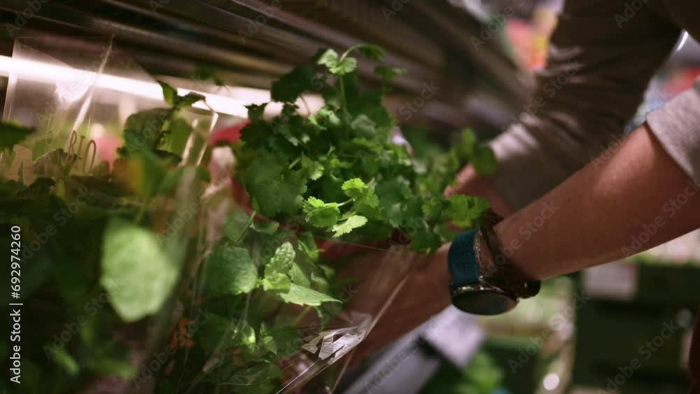 girl choosing a fresh greens - mint and parsley in the market girl choosing a fresh greens - mint and parsley in the market