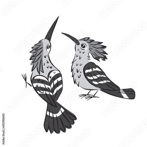 Line art colorful illustration of cute hoopoe birds isolated on white background
