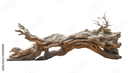 dead log stump isolated on transparent background cutout photo