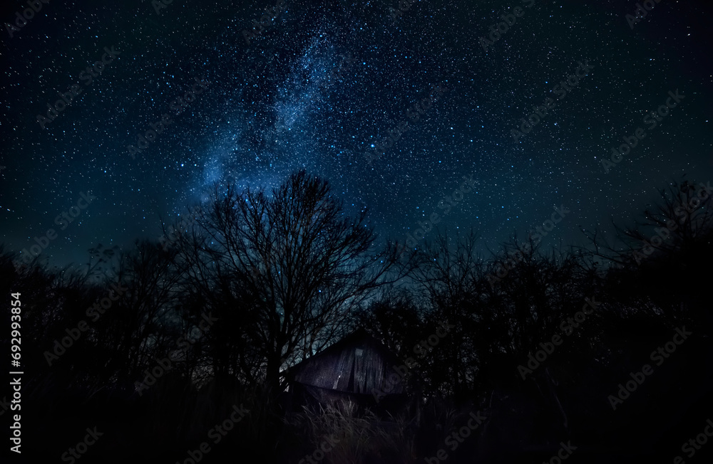 Fototapeta premium night photo with the night sky with the milky way. Old wooden barn among trees and the milky way. 