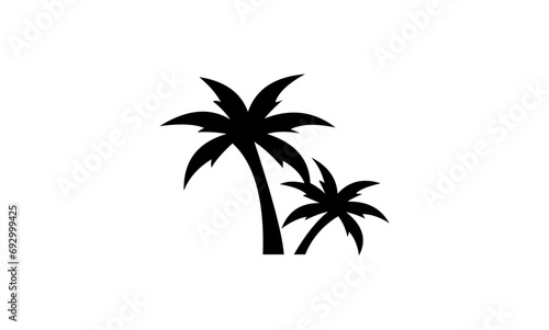 palm tree silhouette