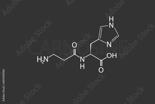 Carnosine molecular skeletal chemical formula