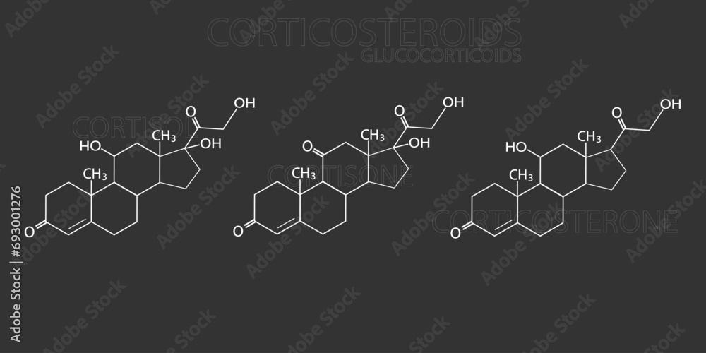 Vecteur Stock Corticosteroids glucocorticoids molecular skeletal ...