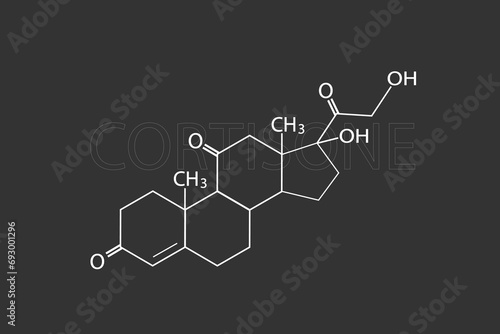 Cortisone molecular skeletal chemical formula photo