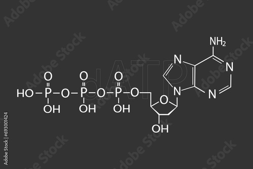 dATP molecular skeletal chemical formula