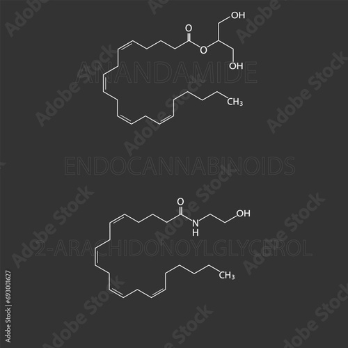 Endocannabinoids molecular skeletal chemical formula