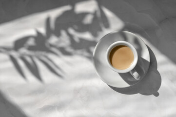 White ceramic saucer and cup with coffee drink on neutral marble gray table background with aesthetic floral sunlight shadows, feminine business branding template