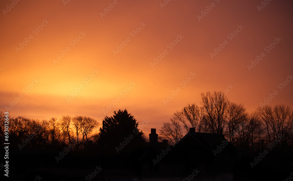 Fototapeta premium Early morning red lights in the sky with top of the trees