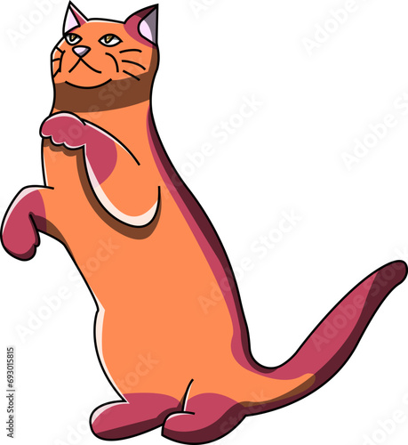 Orange cat standing up looking up vector drawing illustration