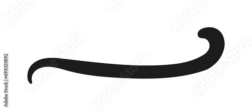 Swoosh and swoops underline typography tail shape. Brush drawn thick curved smear. Hand drawn curly swish, swash, squiggle, twiddle. Vector calligraphy doodle swirl. Vector Underlined icon.