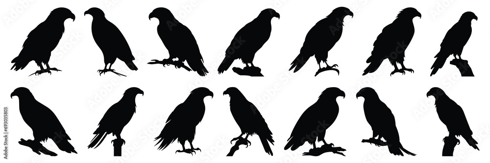 Eagle silhouettes set, large pack of vector silhouette design, isolated white background Eagle silhouettes set, large pack of vector silhouette design, isolated white background