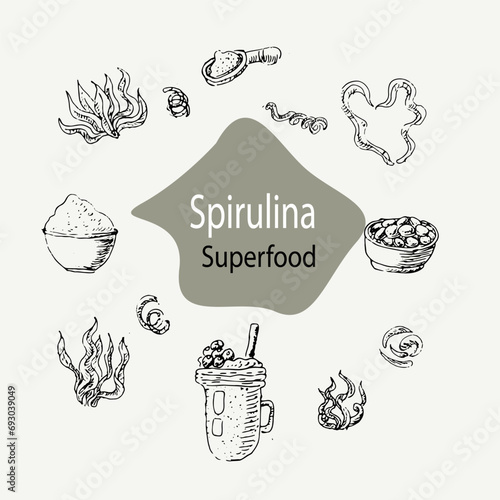 Detox concept spirulina seaweed background. Vector illustration in sketch hand drawn style. Can used for superfood banner, healthy products label, background.  photo