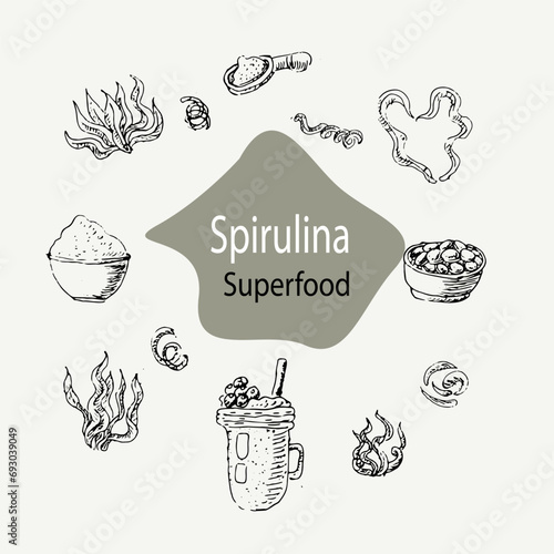 Detox concept spirulina seaweed background. Vector illustration in sketch hand drawn style. Can used for superfood banner, healthy products label, background. 