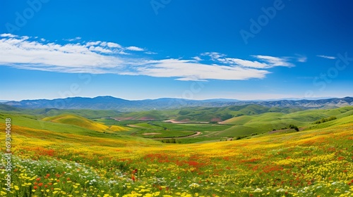 A panoramic view of rolling hills blanketed in a sea of wildflowers under a clear blue sky. Keywords