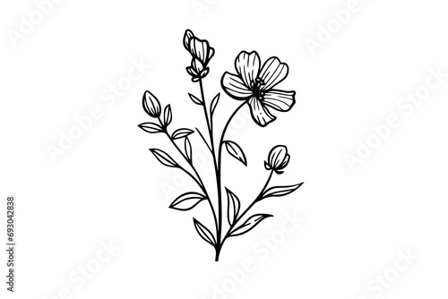 Hand drawn ink sketch of meadow wild flower. Engraved style vector illustration.