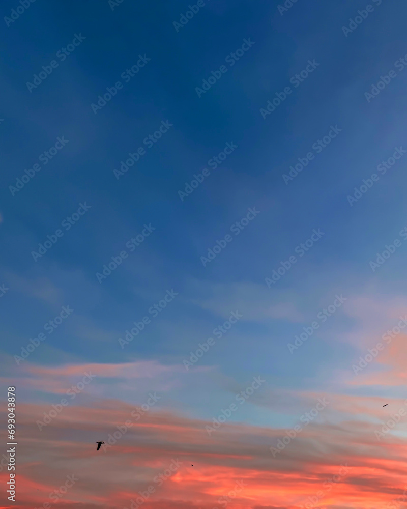 Dramatic sunset sky with red and orange clouds vertical background concept. Evening sunset. Dusk sky view. Twilight sky. Dramatic sunset sky with red and orange clouds vertical background concept. Evening sunset. Dusk sky view. Twilight sky.