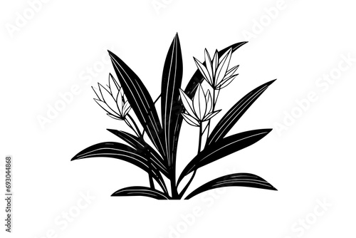 Hand-drawn ink sketch of minimal plant, black forts for graphic design. Engraved style vector illustration.