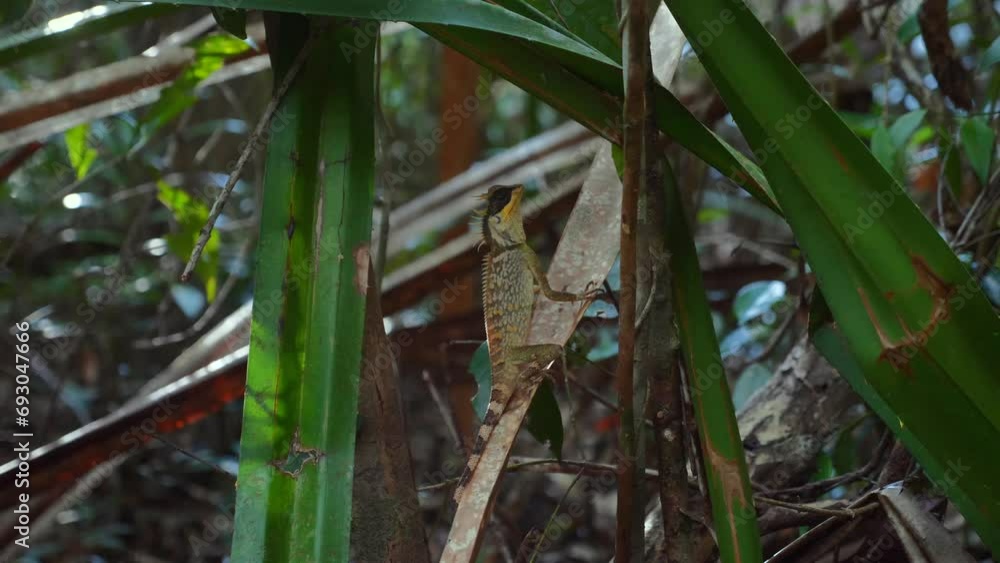 Cunning camouflage in wildlife. Lizard blending seamlessly with lush
