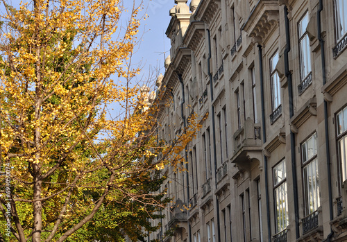 Autumn environment in cities, buildings and trees with dry leaves © ajcsm