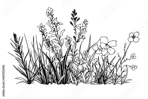 Hand drawn ink sketch of meadow wild flower landscape. Engraved style vector illustration.