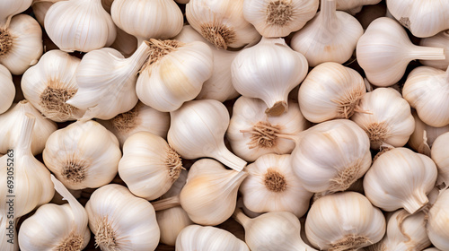 A clear image completely filled with garlic