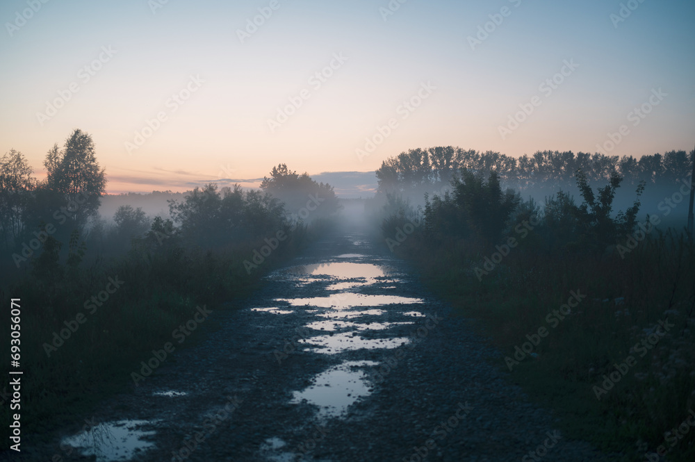 Fototapeta premium Summer misty fog landscape after rain