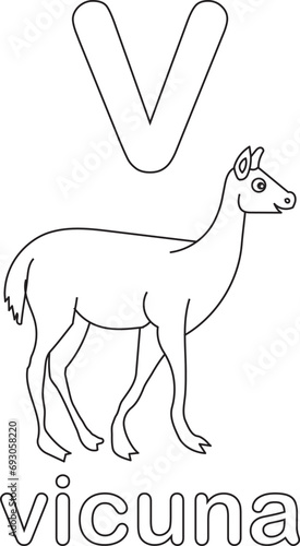 ALPHABET FOR KIDS, V IS FOR VICUNA, KIDS ALPHABET V. BLACK AND WHITE VICUNA