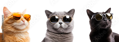 Set of cute cat wearing sunglasses: black, orange, and grey - charming and appealing cats, Isolated on Transparent Background, PNG