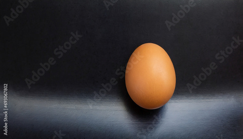 Brown chicken egg on a black background with copy space
