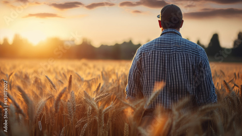A farmer is standing in a field of wheat photo