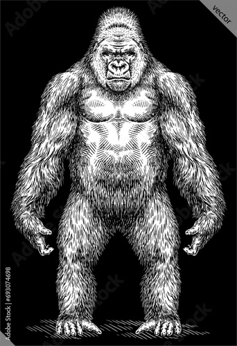 Vintage engraving isolated gorilla set illustration ape ink sketch. Monkey kong background primate silhouette art. Black and white hand drawn vector image