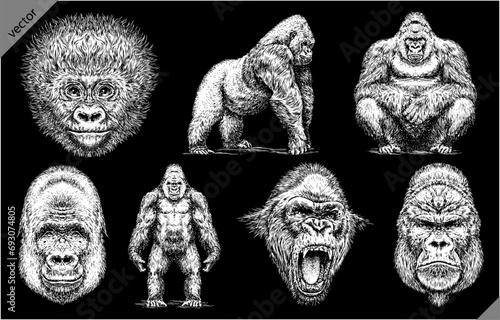 Vintage engraving isolated gorilla set illustration ape ink sketch. Monkey kong background primate silhouette art. Black and white hand drawn vector image