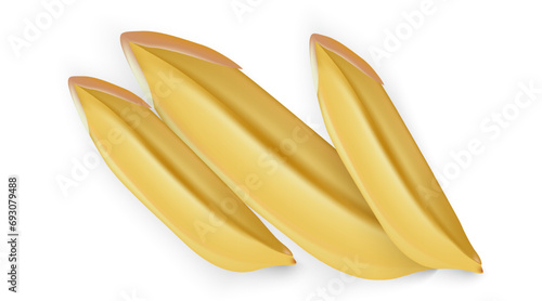Vector rice, rice paddy, rice grains on a white background.