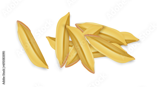 Vector rice, rice paddy, rice grains on a white background.