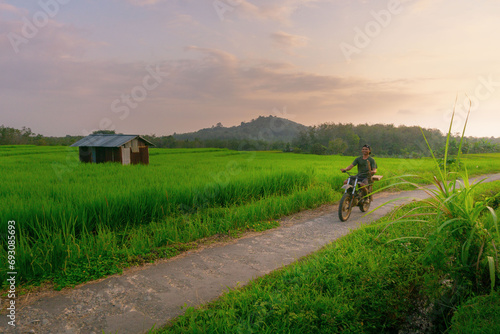 Beautiful morning view indonesia Panorama Landscape paddy fields with beauty color and sky natural light