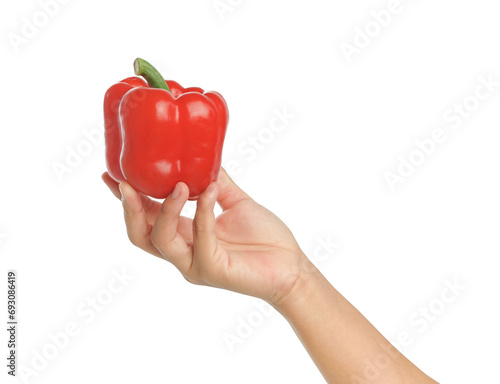 Hand holding fresh vegetables. Red bell pepper on white background