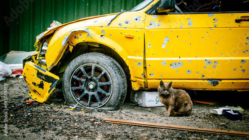A yellow car shot in Irpen, Ukraine. Russian occupation of the Kyiv region in 2022. The cat sat down next to the shot car. photo