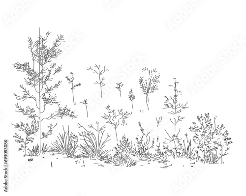 Vector Vegetation