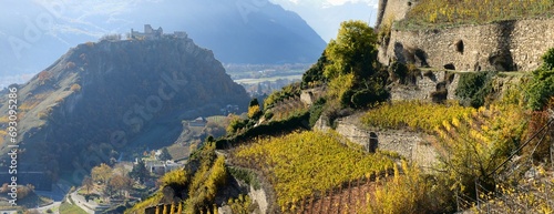 Obraz na plátne Vignoble et bisse en Valais