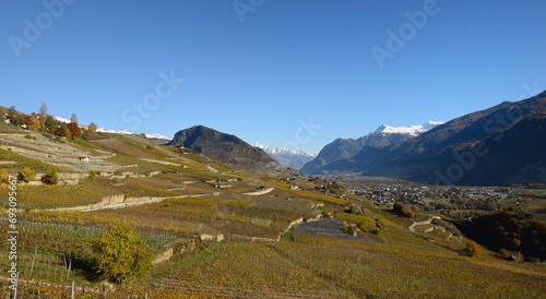 Vignoble et bisse en Valais