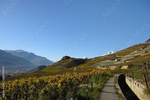 Bild auf Leinwand Vignoble  et bisse en Valais
