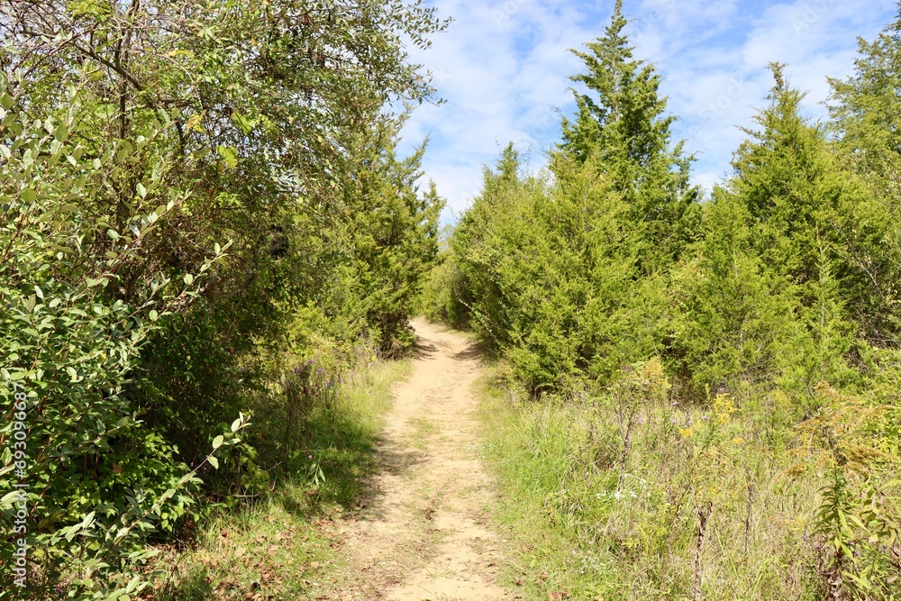 The path up the hill on a sunny day. The path up the hill on a sunny day.