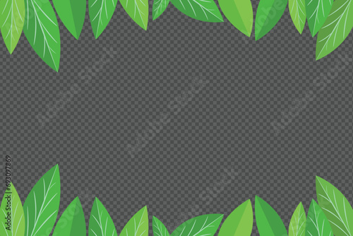 Vector green leaves frame on transparent background Spring, nature, organic products, go green, summer, garden concept. Natural green leaves and plants frame illustration. Vector empty frame template.