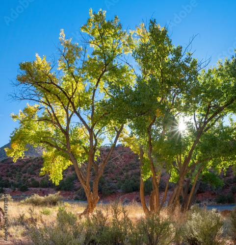 View along Highway 4 near Jemez Springs, New Mexico photo