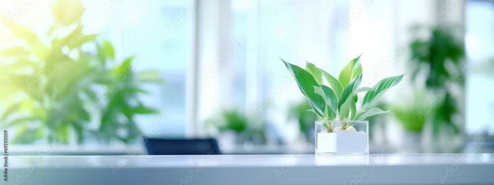 Sunny Office Greenery. A potted plant basks in the natural light of a modern office setting, adding a touch of nature to the work environment - obrazy, fototapety, plakaty 