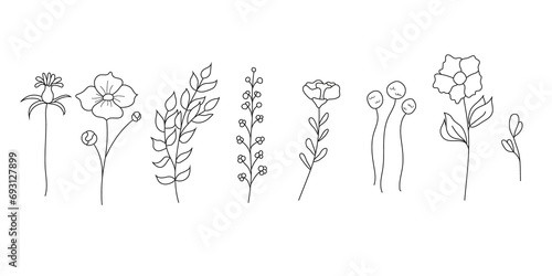 Collection of wild flowers and leaves. Linear vector illustration isolate don white background © tiena