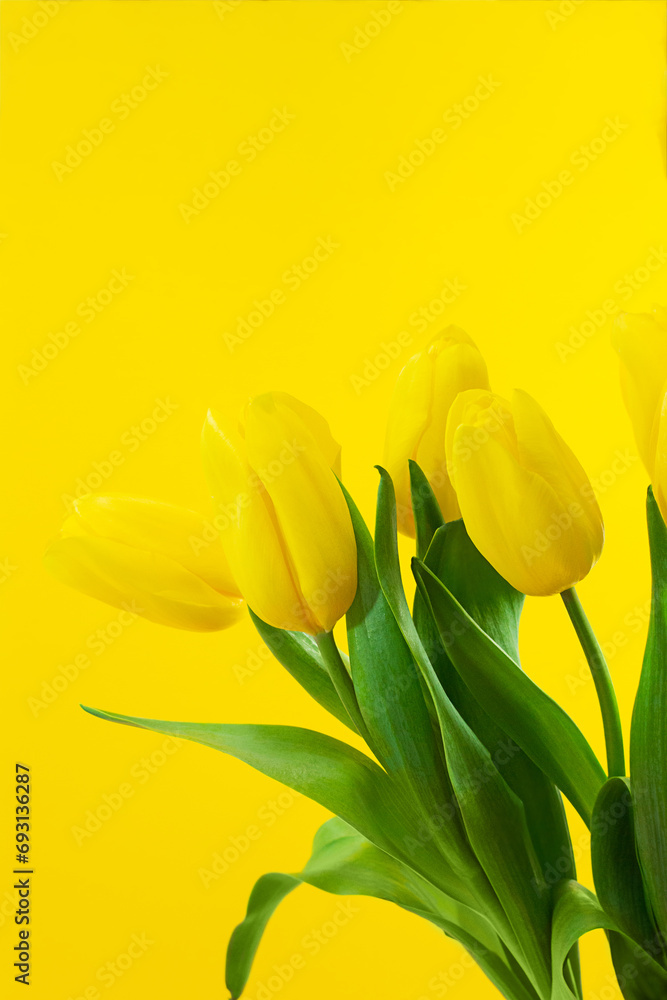 Obraz premium Bouquet of yellow tulips with green leaves on a yellow background. Vertical. Happy International Women's , Mother's and Valentine's Day, Birthday, Holiday. Copy space